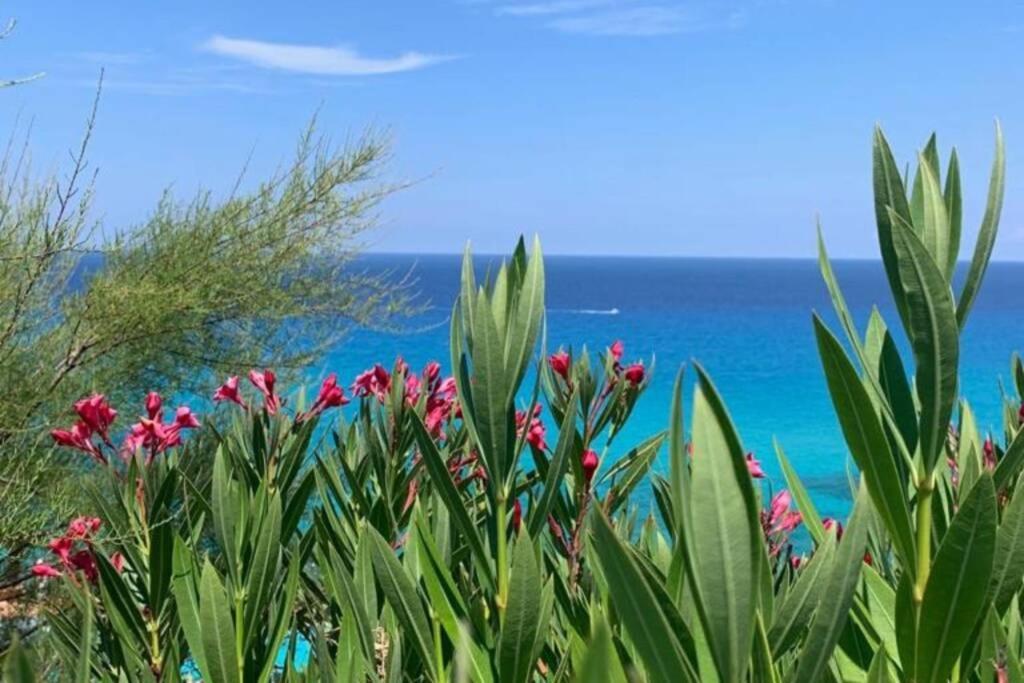 Boutique Apartment With Beach Within Walking Distance, Near Tropea Parghelia Exterior foto